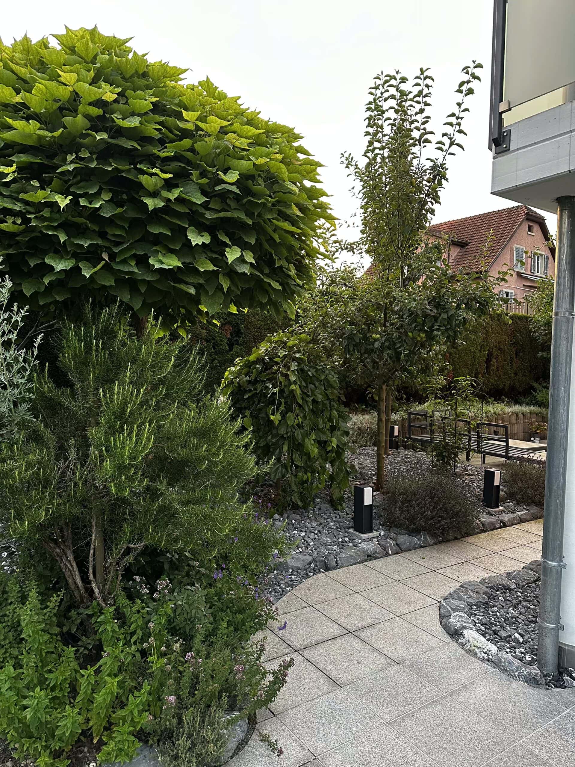 Gepflegte Liegenschaft mit Hecke in Wilen bei Wil – Dalex Immo Hauswartung