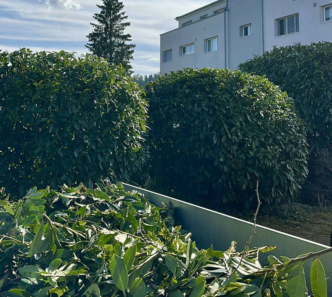 Hauswartung in Münchwilen – gepflegte Gartenanlage bei Mehrfamilienhaus